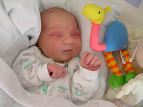 Dodo 1